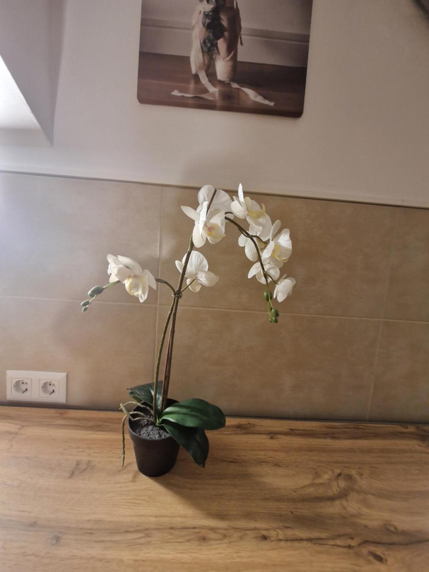 Gent Apt Bécs Kültér fotó